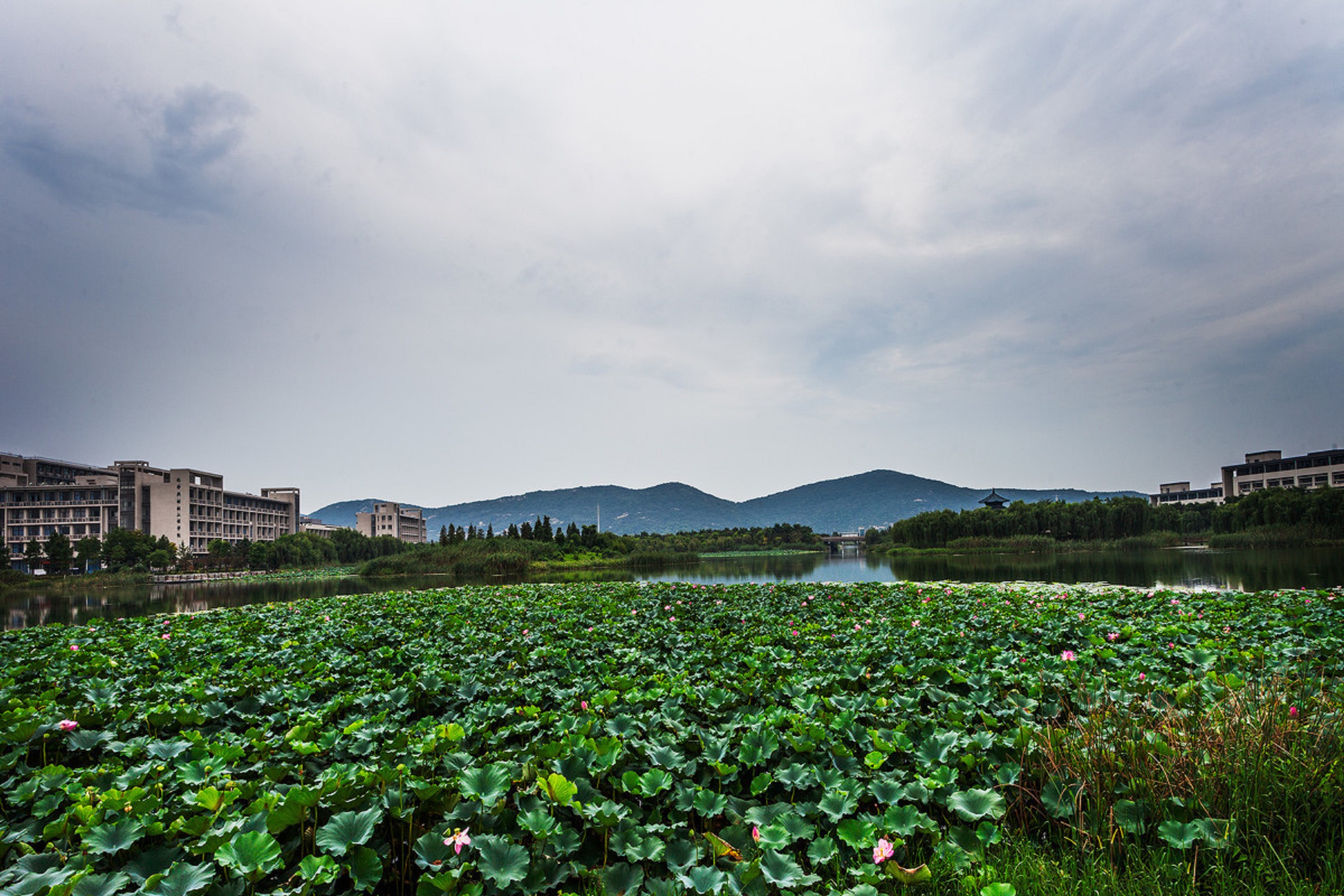  p>江南大学(jiangnan university),坐落于 a target="_blank" href="