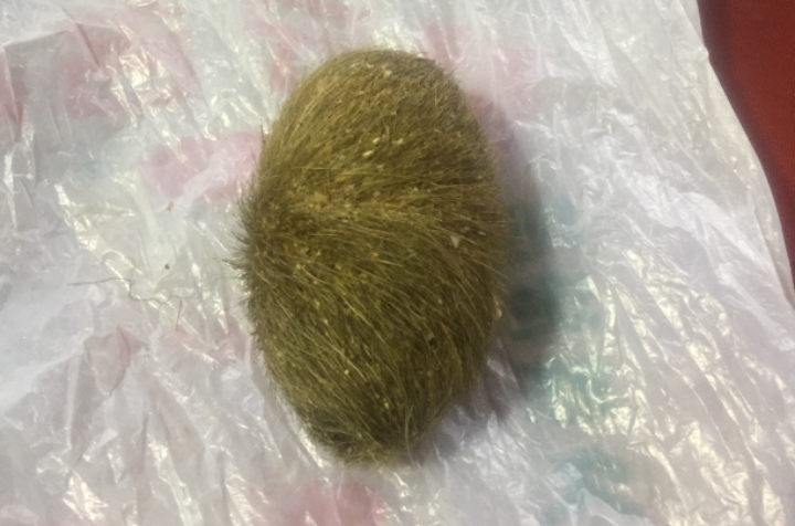 href="/item/辰砂/2298305" data-lemmaid="2298305">辰砂 /a>,是猪