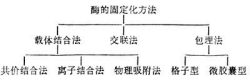 制備方法分類圖