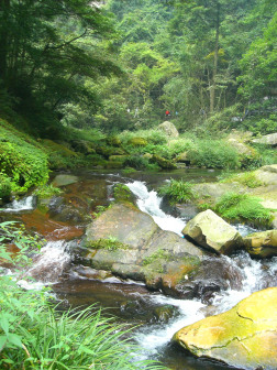 张家界风景（三）