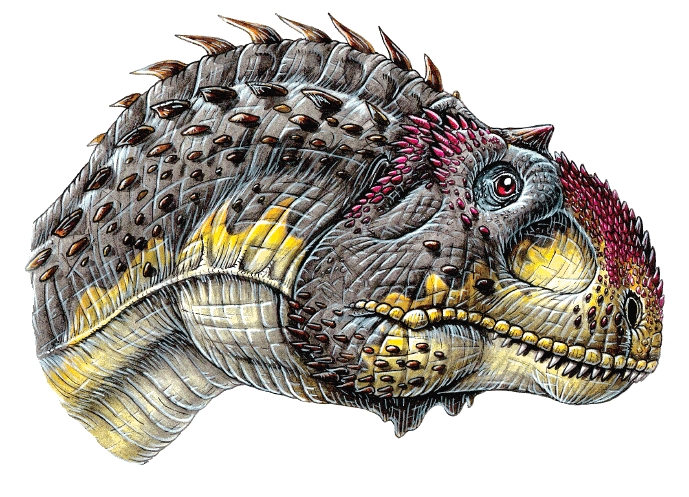  p>玛君龙(属名:majungasaurus)又译玛宗格龙,意为"马达加斯加的蜥蜴"
