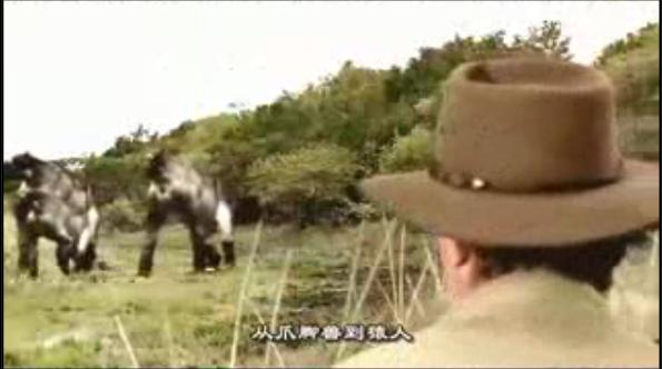 与远古人同行walkingwithcavemen(2003)