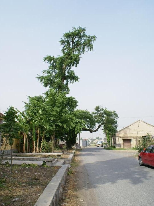  p data-id="gnyy0ujfar">下菰城遗址,位于浙江省湖州市城区 a target