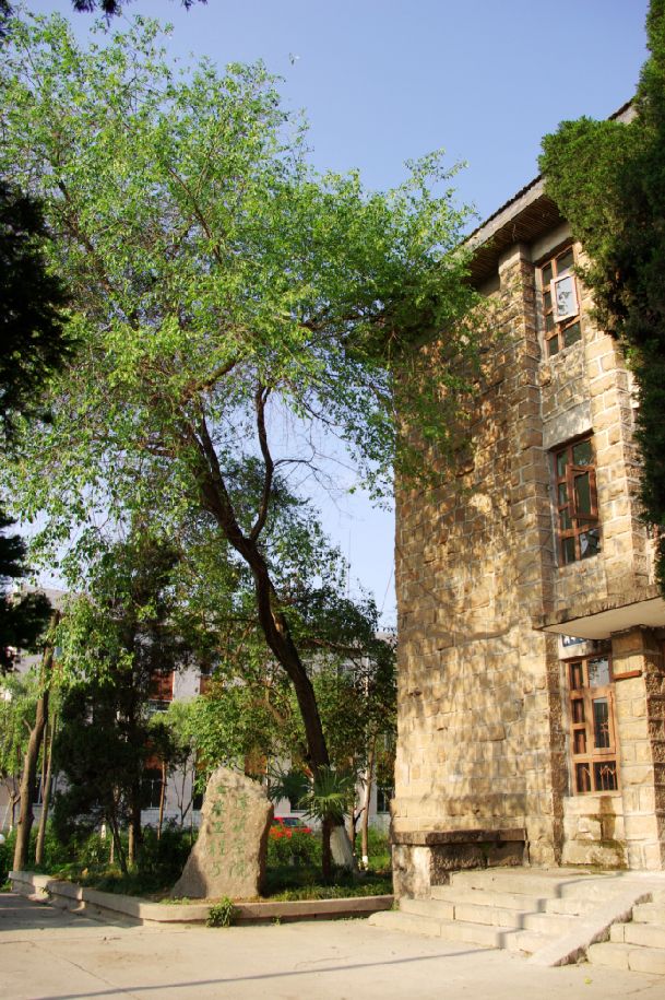  p>清华楼位于 a target="_blank" href="/item/西南科技大学/157737"