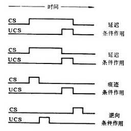  p data-id="gnwqg287xp">操作条件反射(operant conditioning) ,亦称