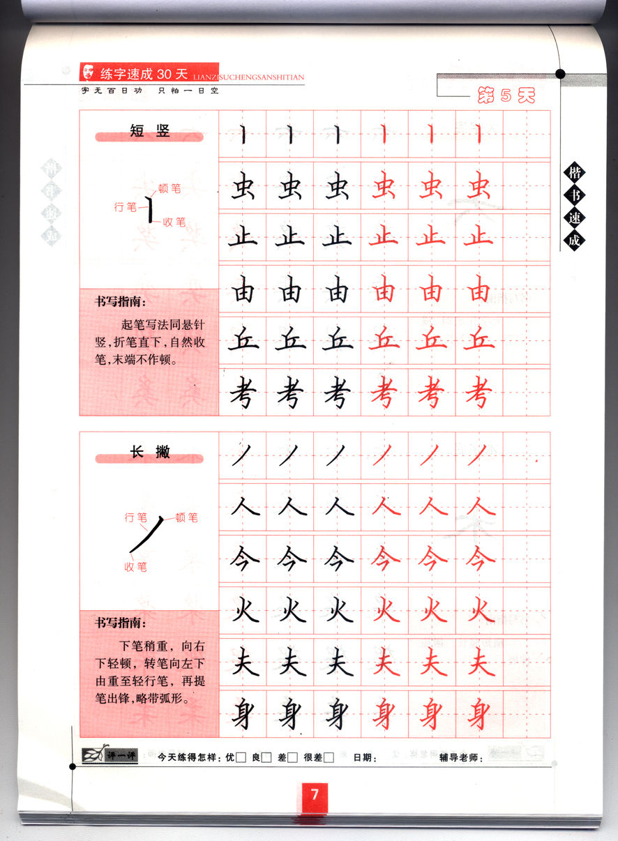 练字速成30天:楷书速成