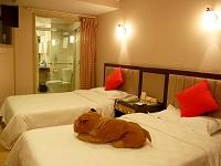 重庆渝都大酒店