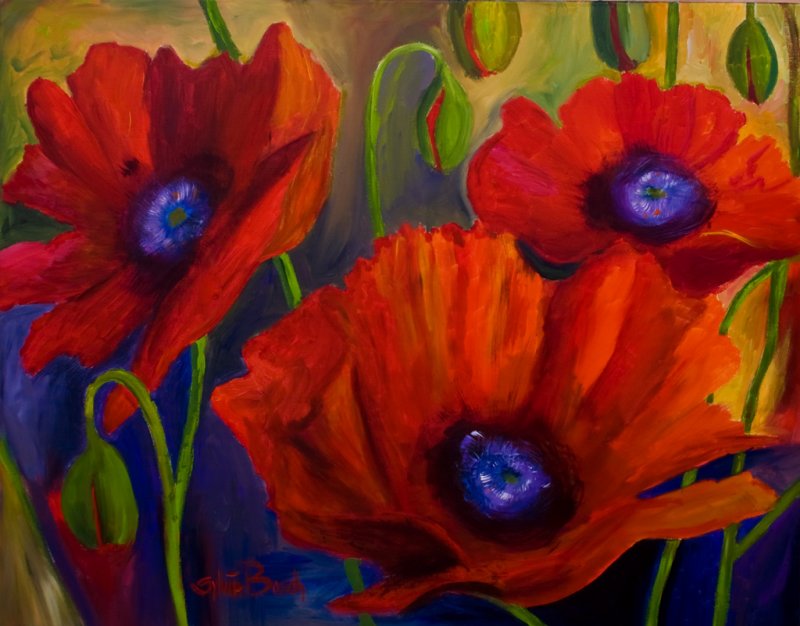 佛兰德斯红罂粟