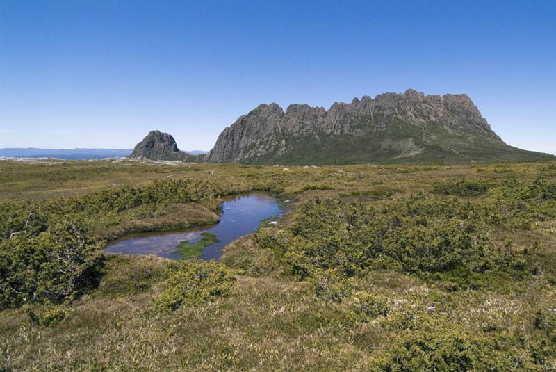 塔斯马尼亚荒原