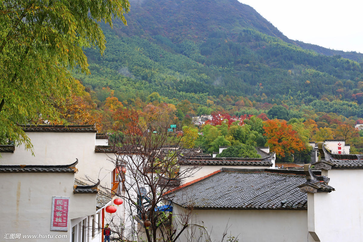 南山村