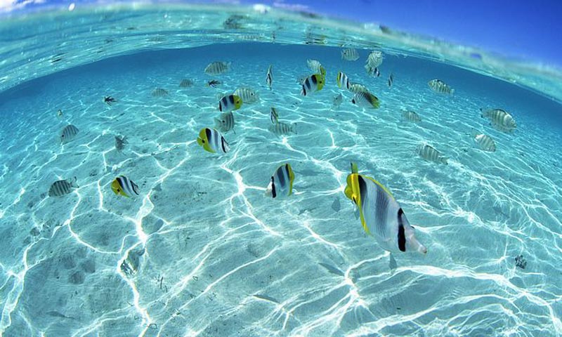  p>海洋(sea), a target="_blank" href="/item/地理/176780" data