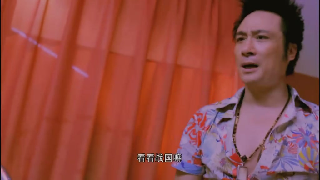 疯狂的蠢贼