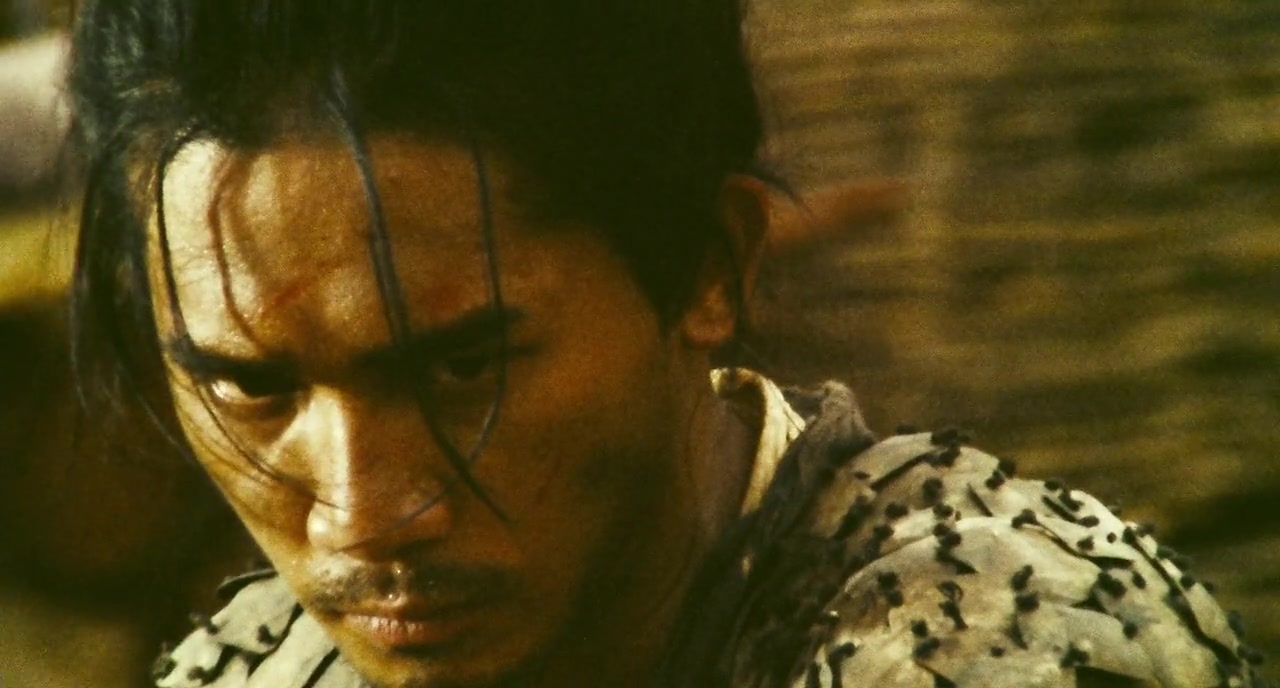 东邪西毒:终极版