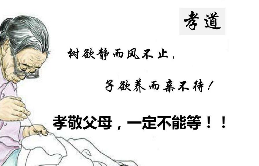 树欲静而风不止,子欲养而亲不待