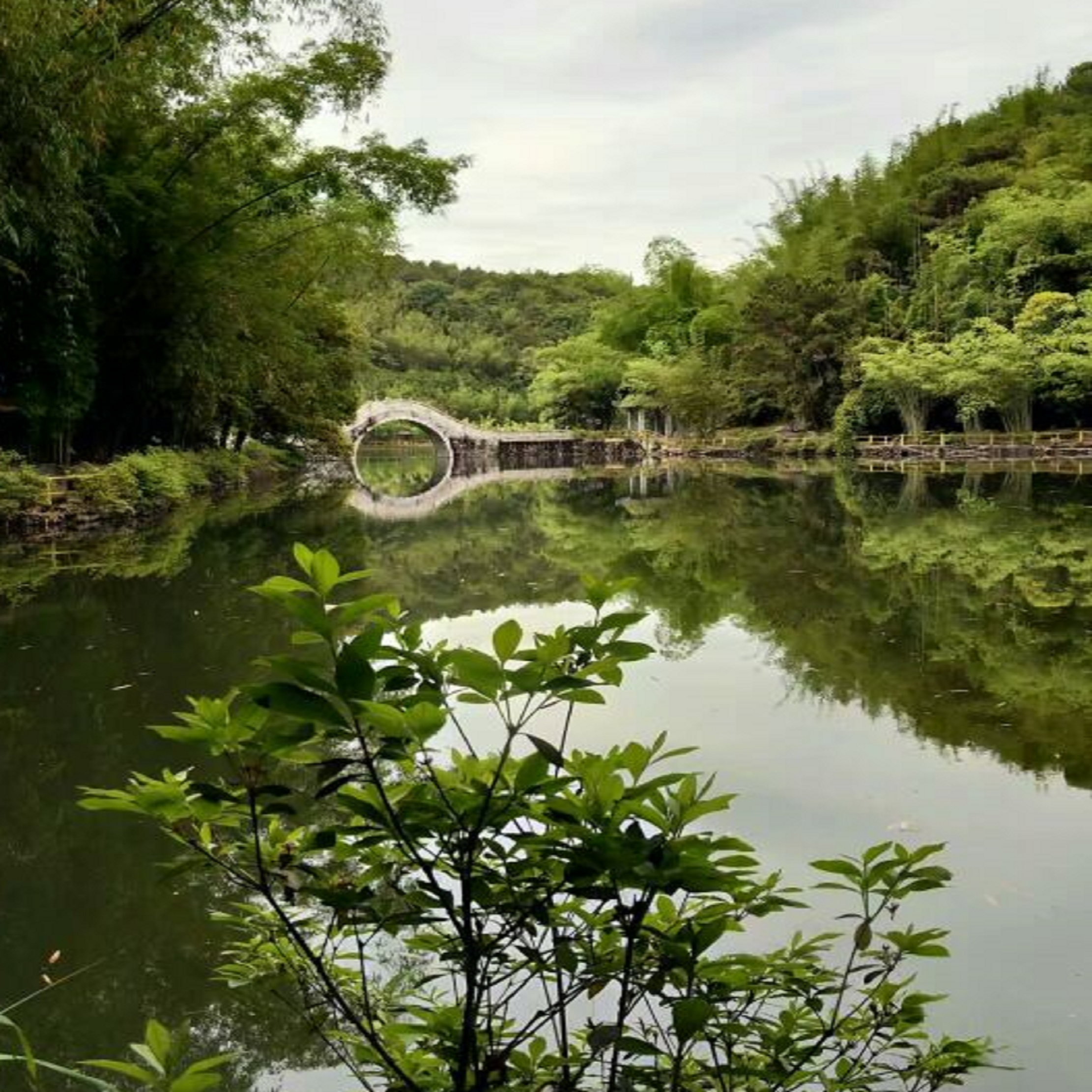  p data-id="gnb3d63znc">宝锭山风景区,座落在全国十大竹子之乡之一
