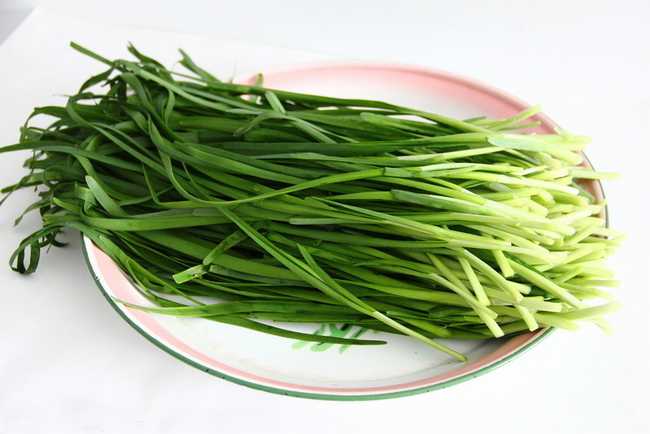 韭菜