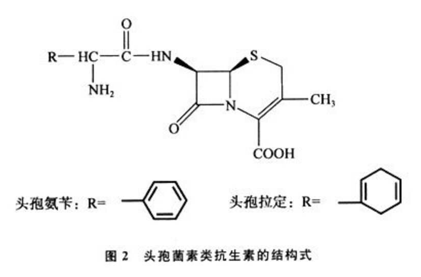 抗生素头孢