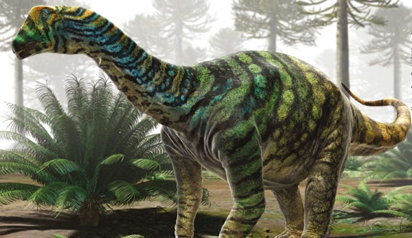 植食性巴西巨龙