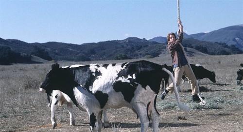 亡命寻宝ratrace(2001)