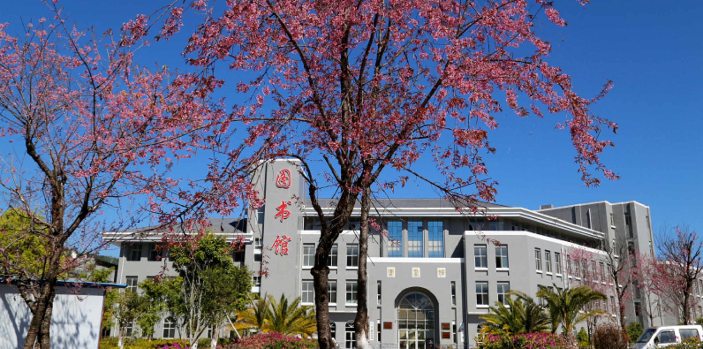  p>滇西科技师范学院(west yunnan university)位于 a target="_blank