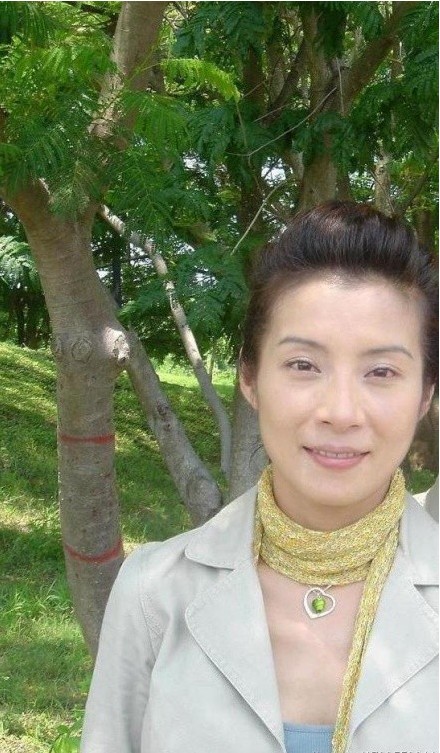  a href="#" data-lemmaid="2973669">岳翎 /a>,张耀扬,汪建民,高伊玲