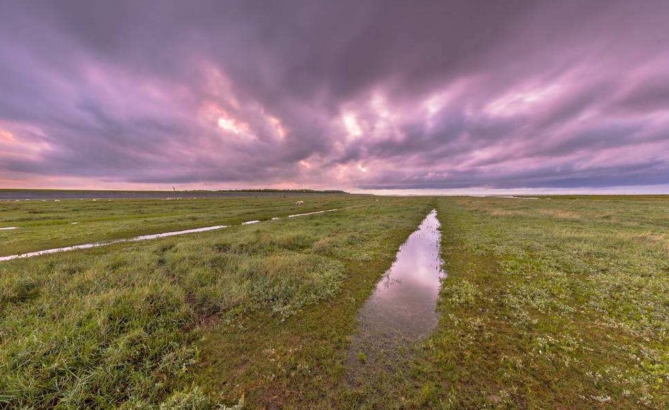 渤海湾西岸,苏北沿海和长江三角洲南部镶嵌着数列贝壳堤的滨海平原,即