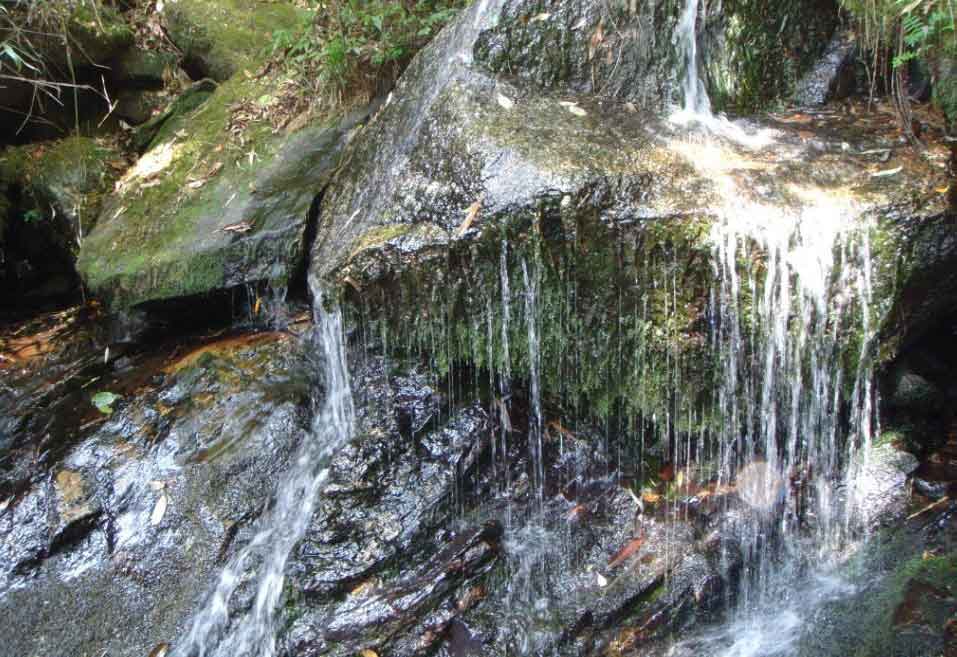 云南元阳观音山省级自然保护区