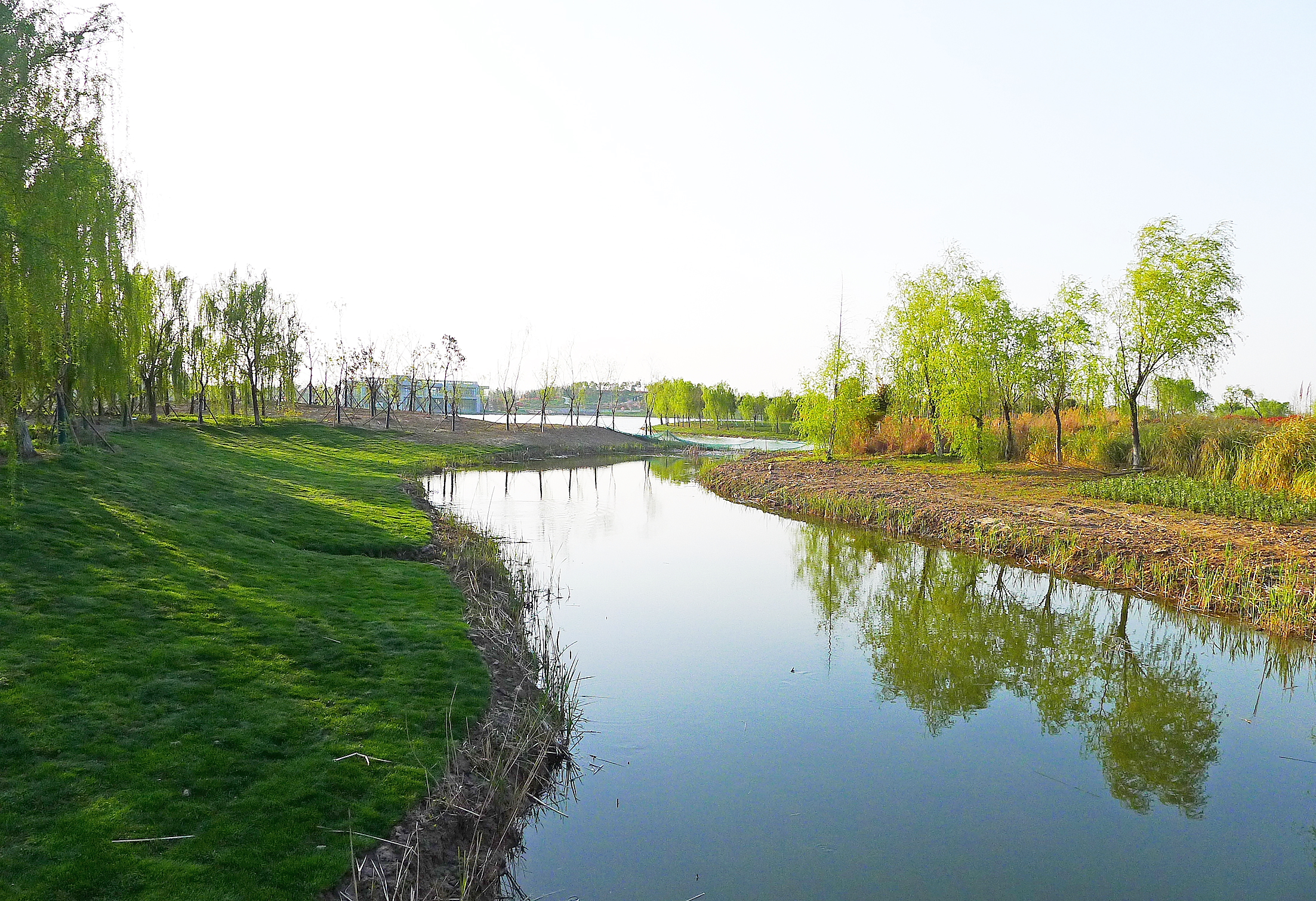 大洋湾湿地公园