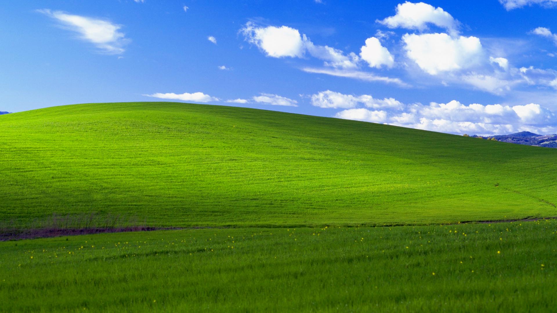 windows xp
