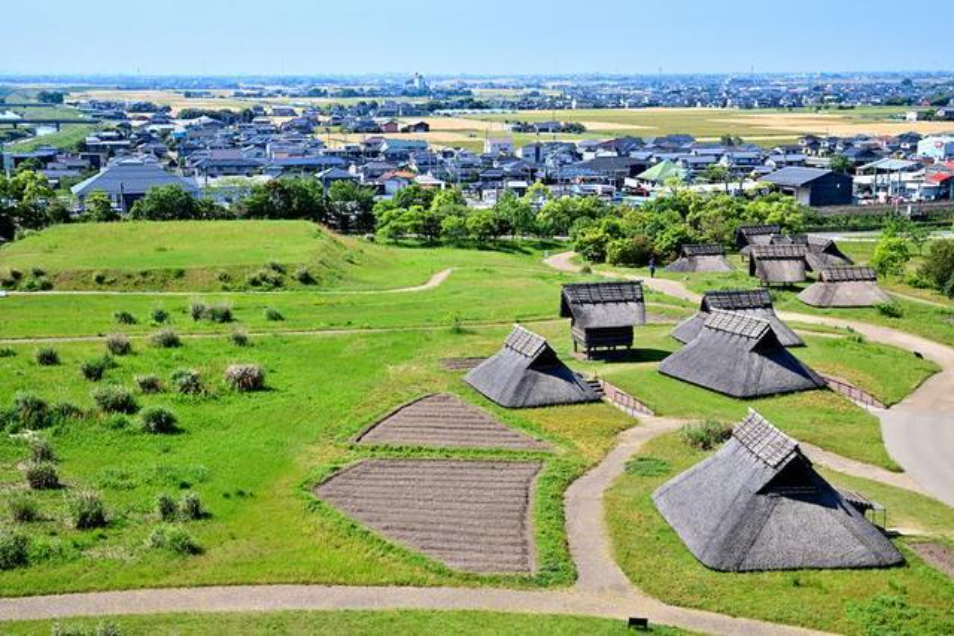 口水酿的酒你敢喝吗？一般人还喝不起，日本的奇怪文化再加一分_百科TA说