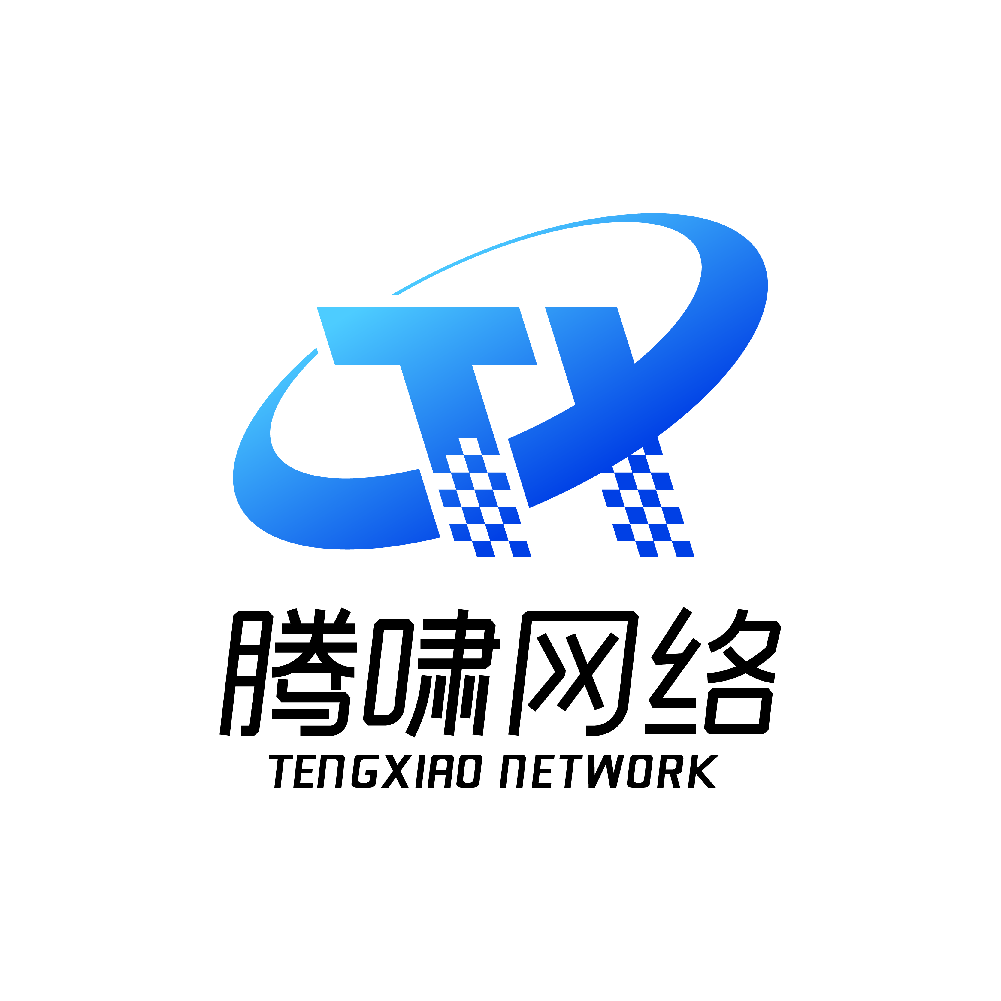 法定代表人张勇,公司经营范围包括:计算机网络技术的技术开发及相关