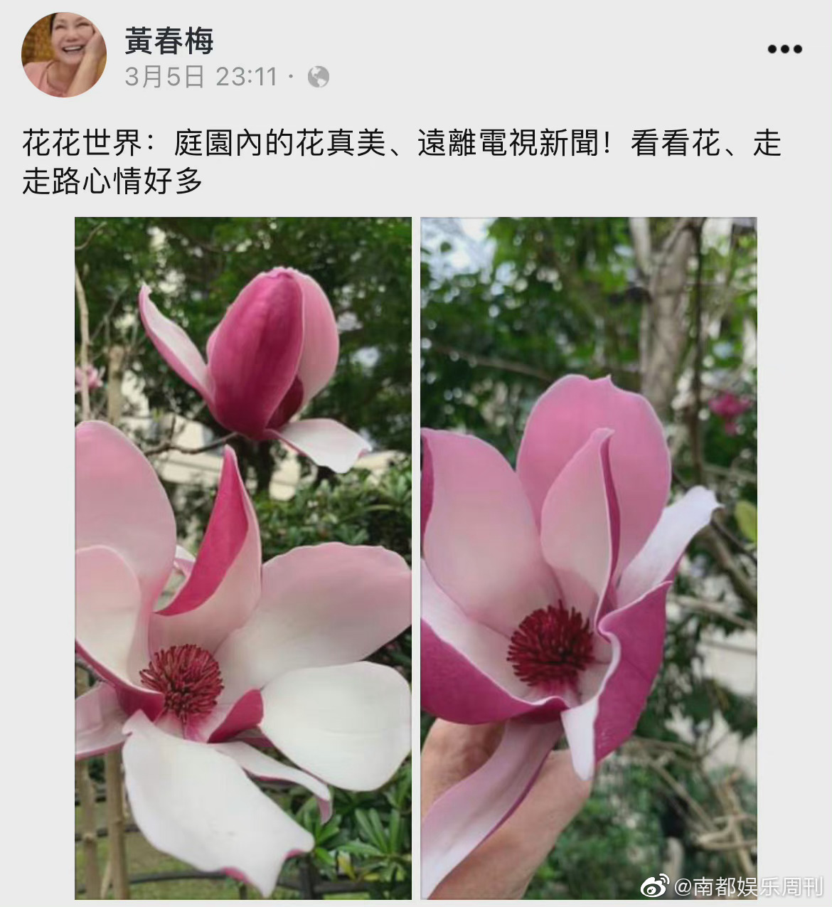 大S妈妈嘴上说着不见具俊晔，可她当年对汪小菲也“真香”了啊_百科TA说