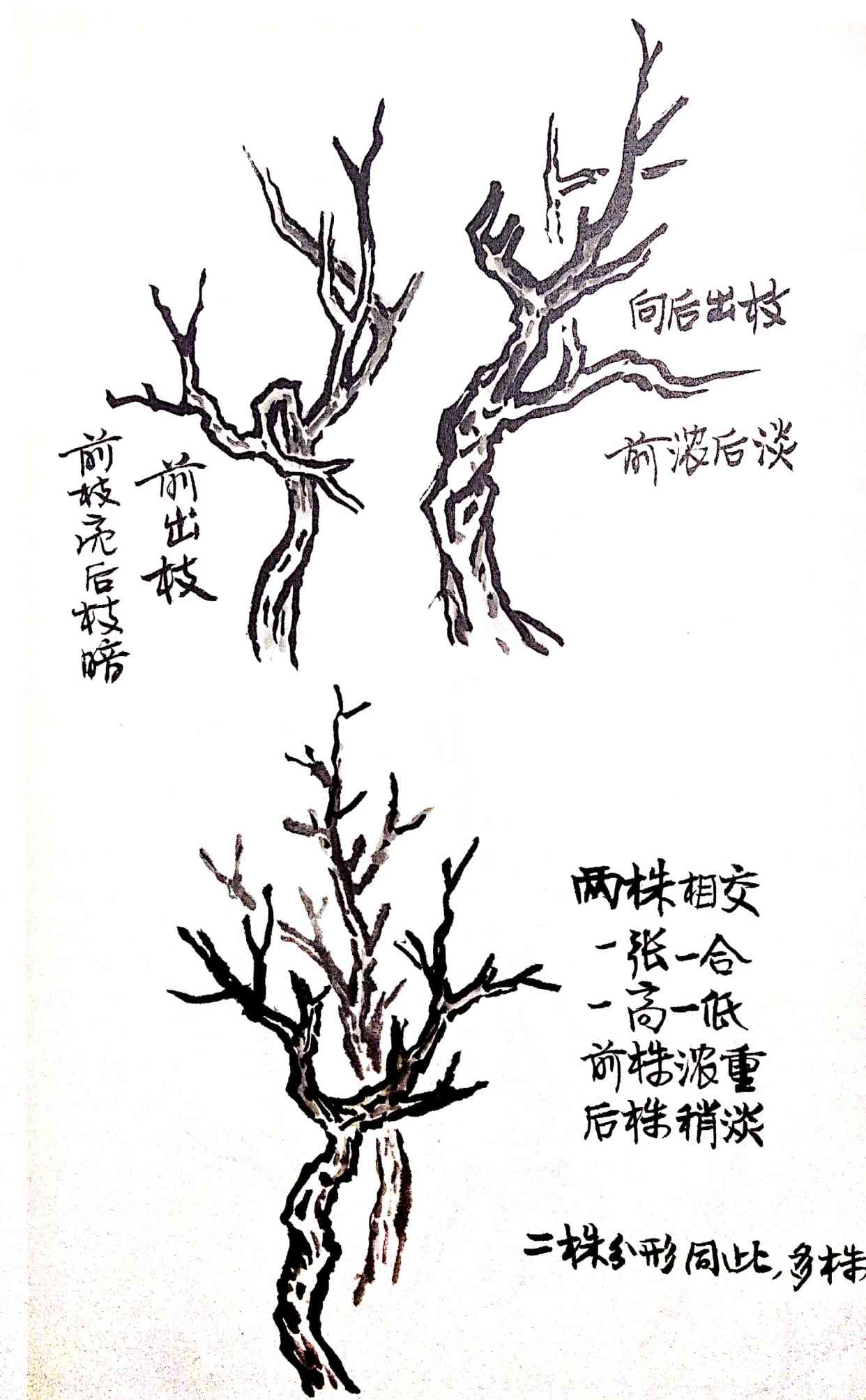 《芥子园画谱》写意山水一：树的几种不同画法_百科TA说