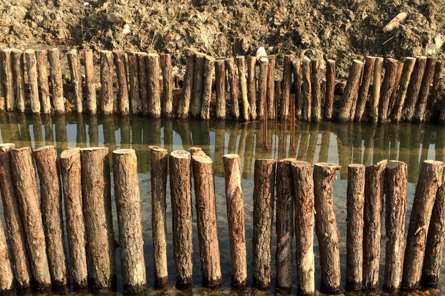 原木桩驳岸