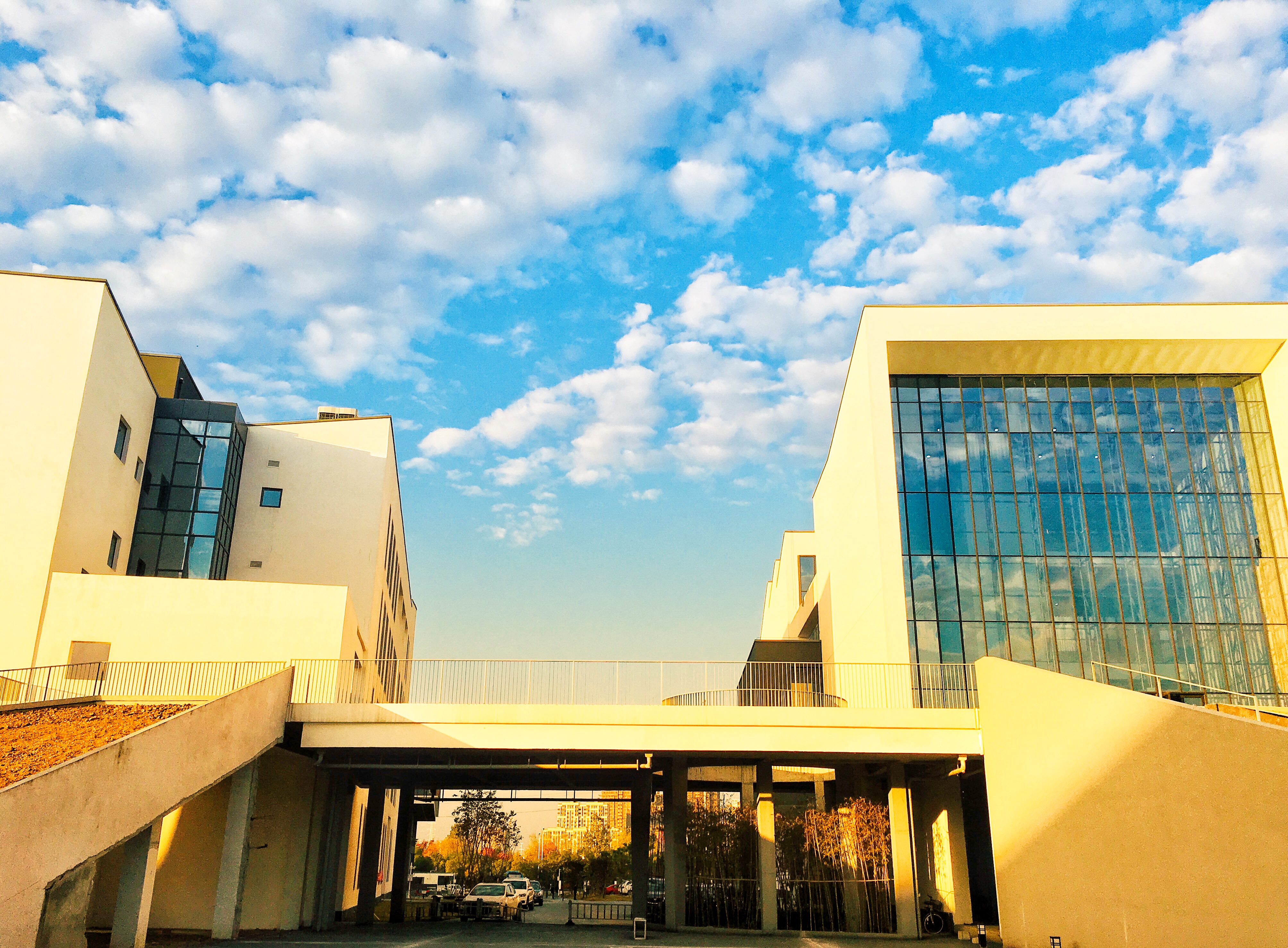  p>安徽艺术学院( i>anhui university of arts /i>)是教育部批准设置