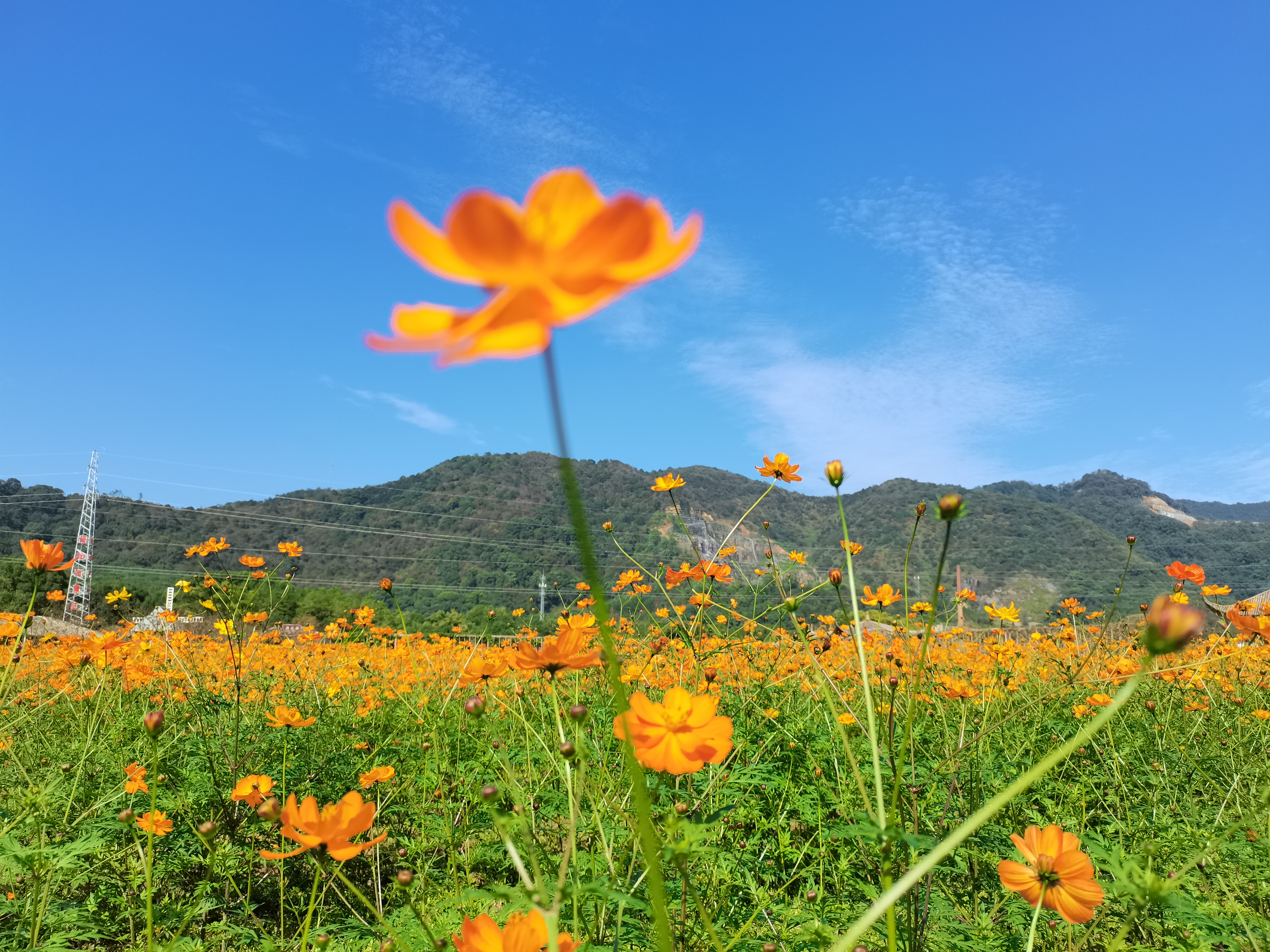 data-lemmaid="8756091">博阳河 /a>生态风景区是由德安县母亲河