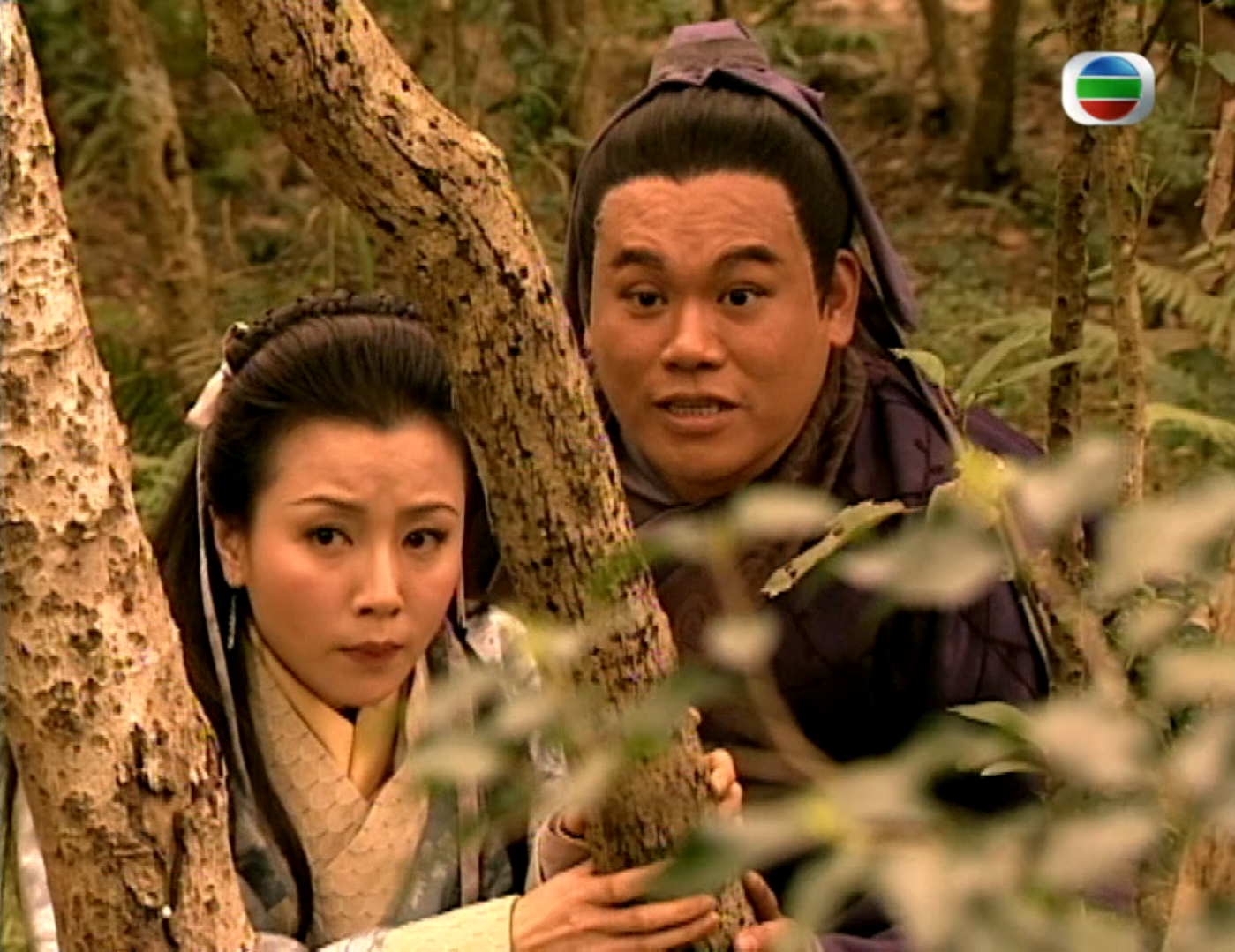 《人龙传说》是1999年香港电视广播有限公司出品的古装神话剧,由 a