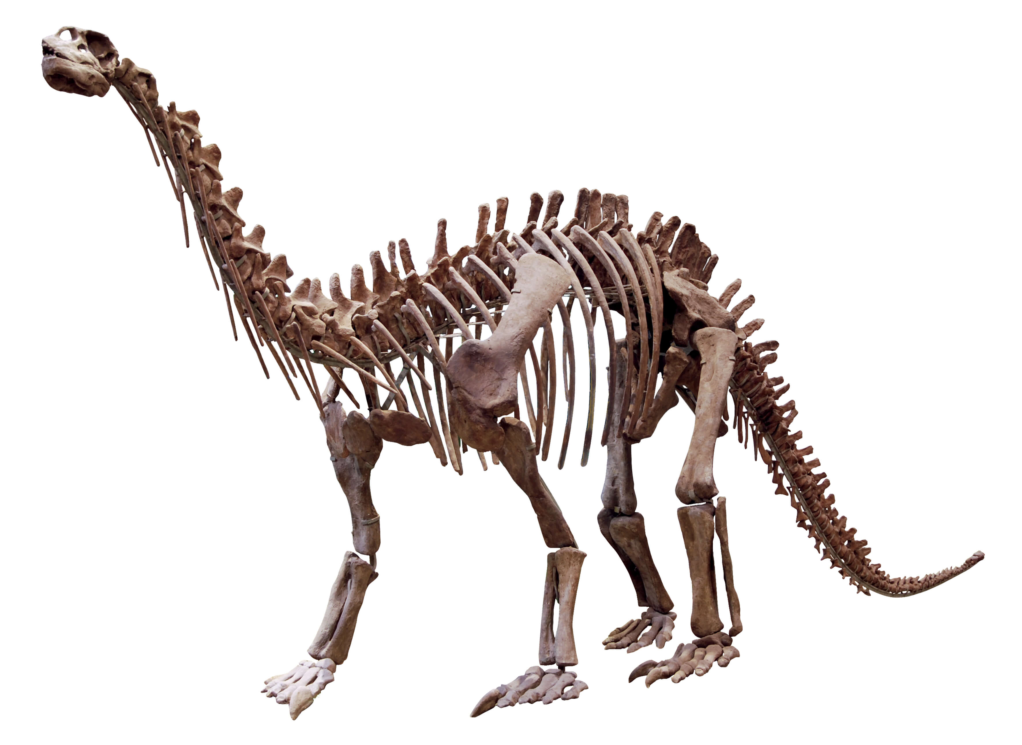 自贡恐龙博物馆遗址馆