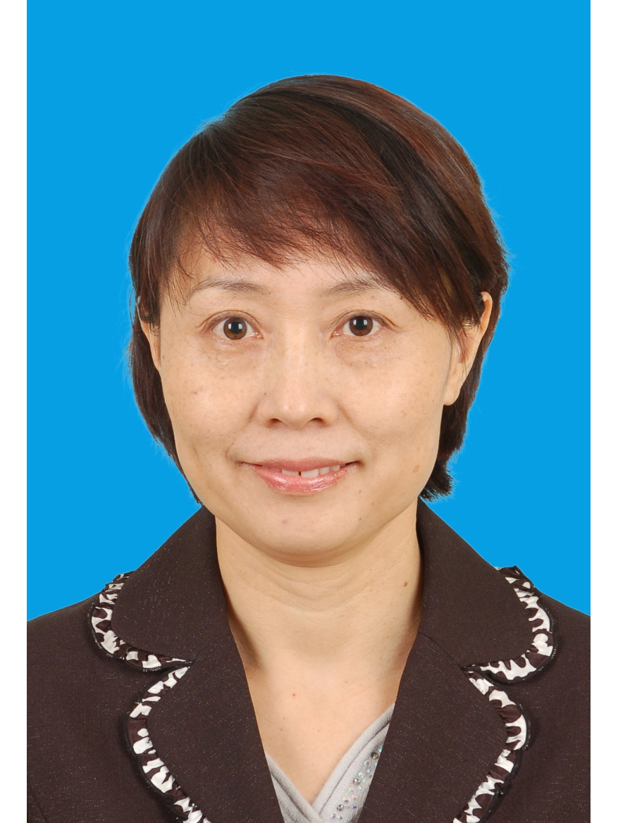 彭静,1966年1月出生,教授级高级工程师,工学博士,国际水利与环境工程