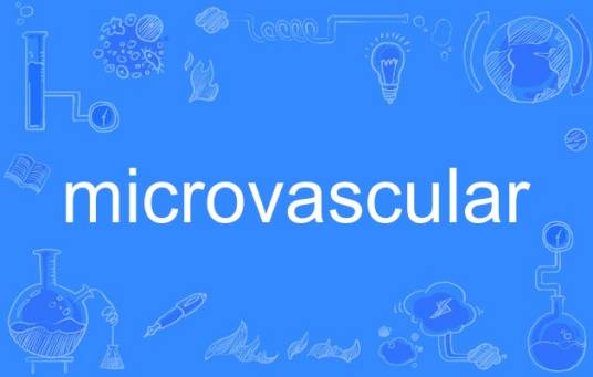 microvascular_百度百科