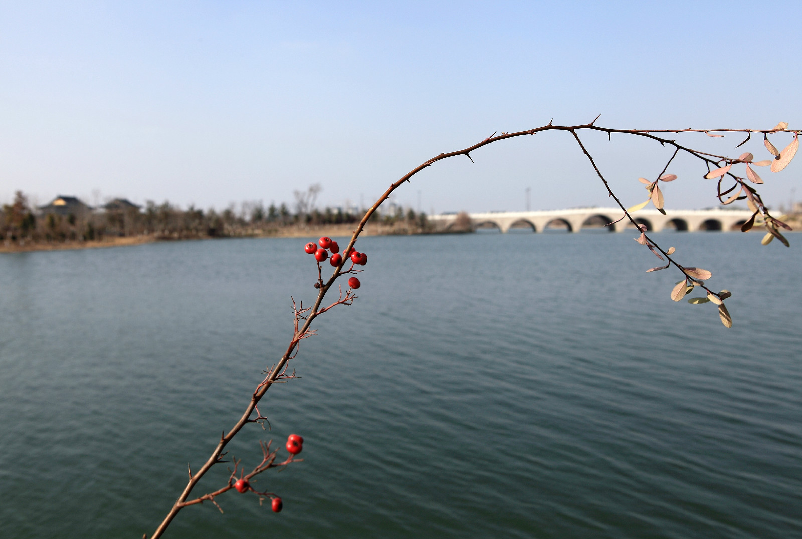 href="/item/苏北/1181676" data-lemmaid="1181676">苏北 /a> a