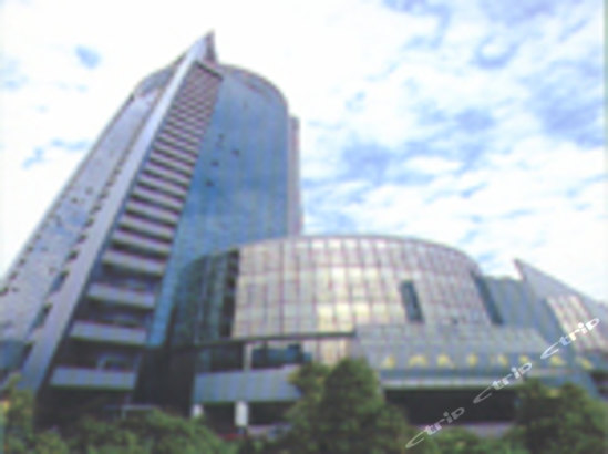 嘉兴戴梦得大酒店