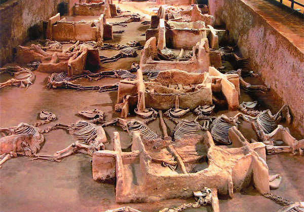  p>洛阳东周王城,位于今 a href="#" data-lemmaid="6786279">洛阳市 