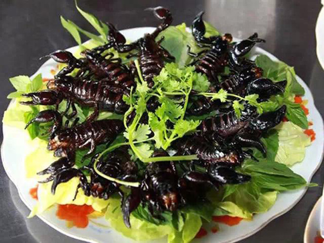 油炸蝎子