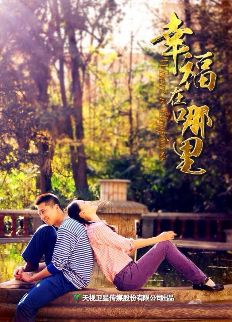 是天视卫星传媒股份有限公司出品的"幸福三部曲"系列电视剧中的第二部