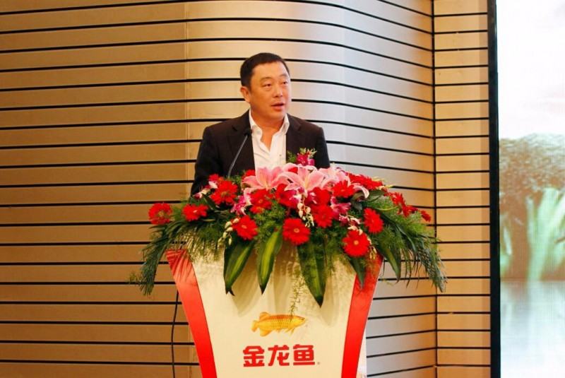 陈波