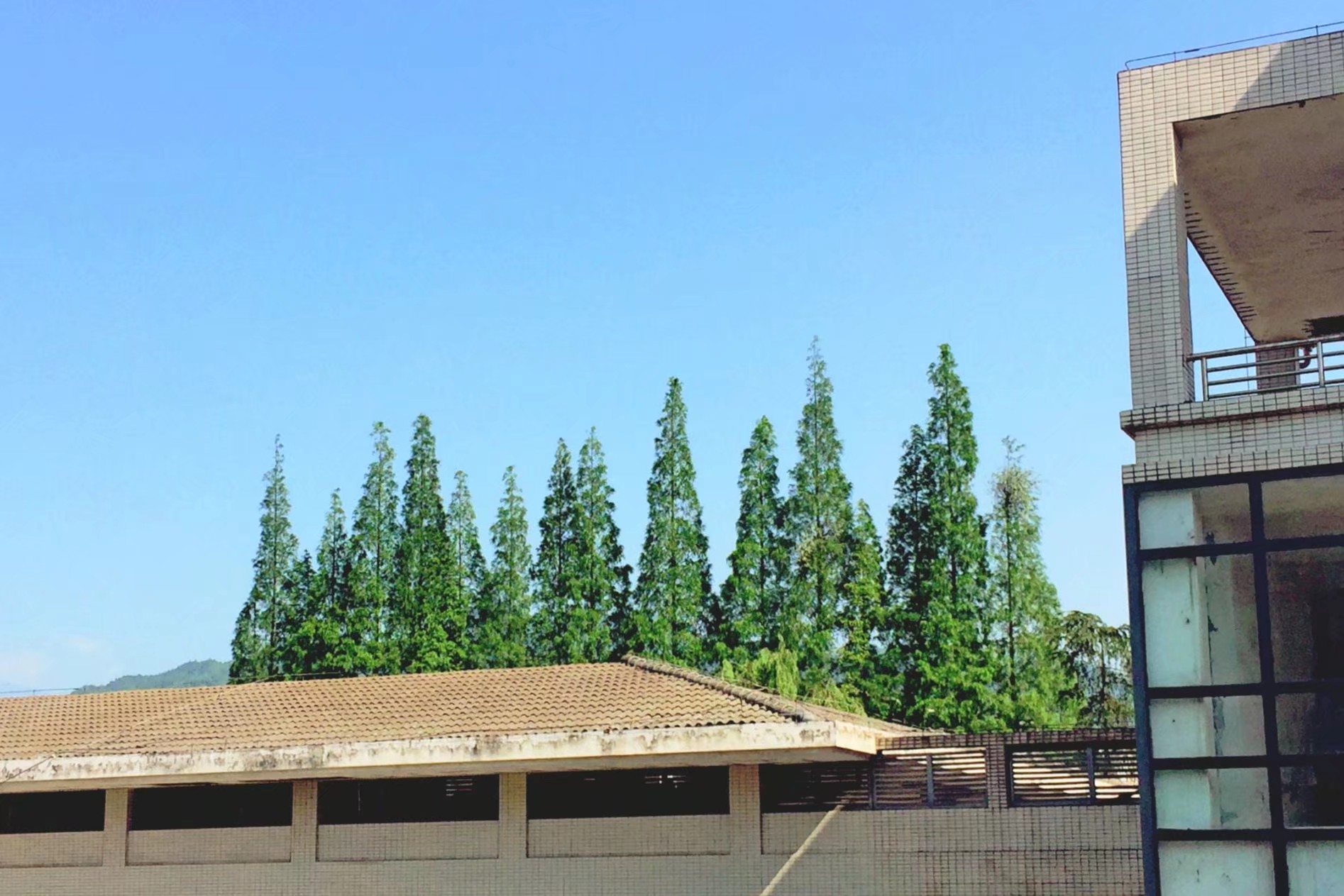  p>都江堰外国语实验学校的前身是1996年创办的都江堰中学初中部,1999