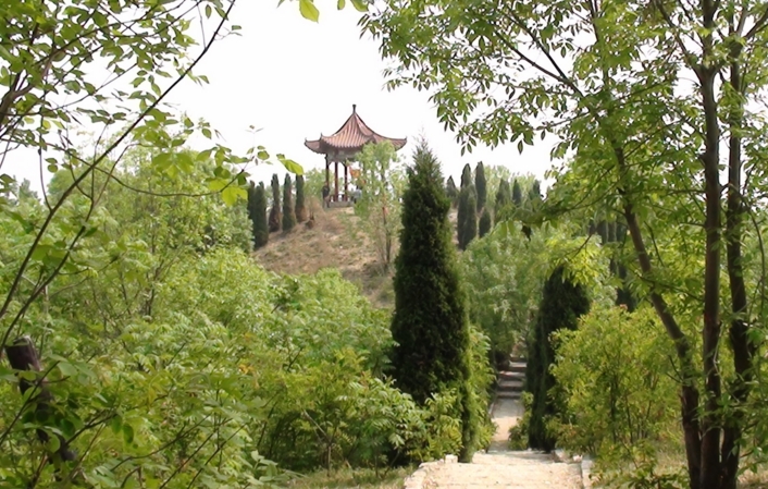 红坛寺森林公园位于鲁北平原, a target="_blank" href="/item/德州
