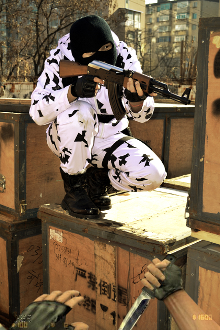 瑞典北极复仇者