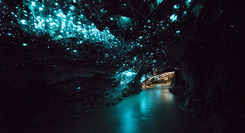 怀托摩萤火虫洞